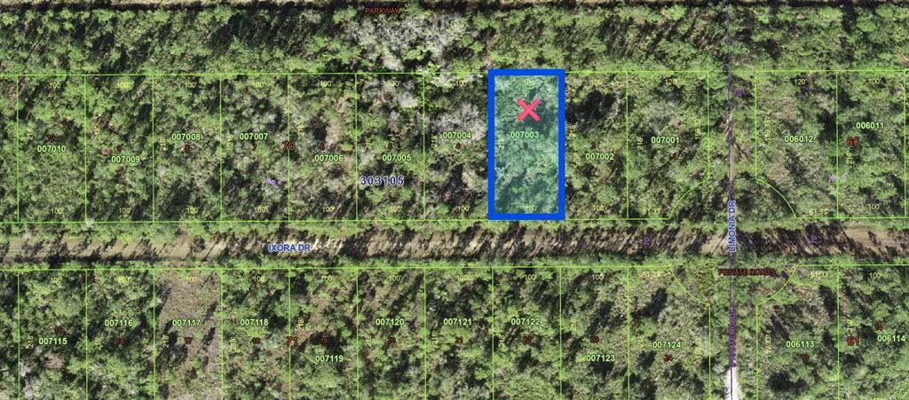 This is a map showing a rectangular plot of land highlighted in blue with a red X — 206 IXORA DRIVE, INDIAN LAKE ESTATES, FL