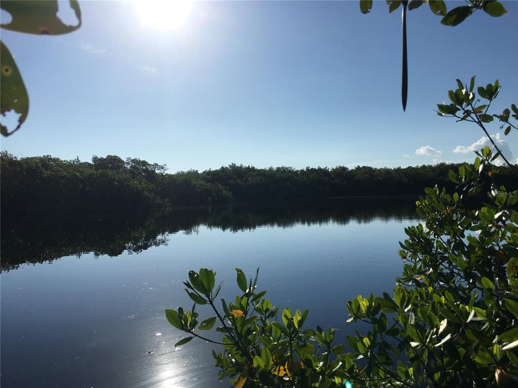 A view of a calm, reflective body of water surrounded by dense green mangrove trees — 201 E BAY HEIGHTS ROAD, ENGLEWOOD, FL