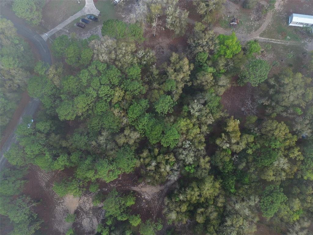 An aerial view shows a wooded lot with a paved road and a small structure — 5512 W CONNETQUOT PLACE, DUNNELLON, FL