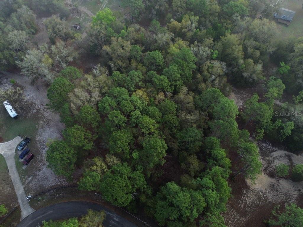 An aerial view shows a wooded lot with a driveway, parked vehicles, and surrounding trees — 5512 W CONNETQUOT PLACE, DUNNELLON, FL