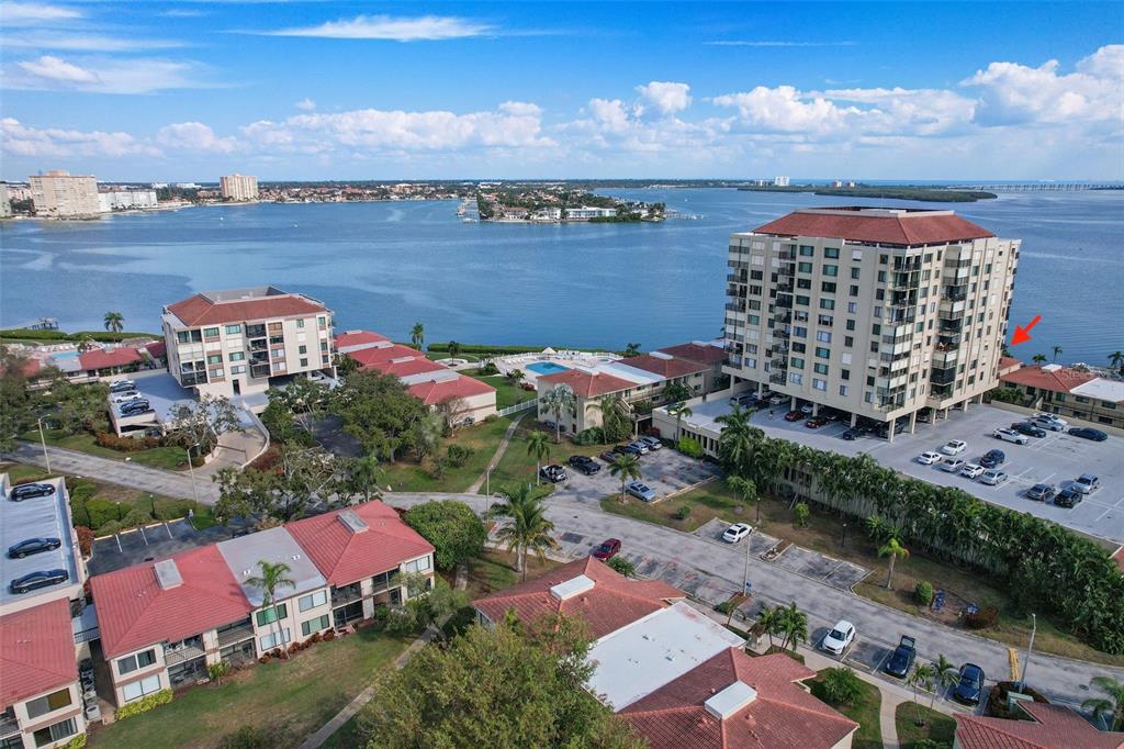 A view of a calm bay with a palm tree and a distant bridge — 6322 PALMA DEL MAR BOULEVARD S UNIT 209, ST PETERSBURG, FL