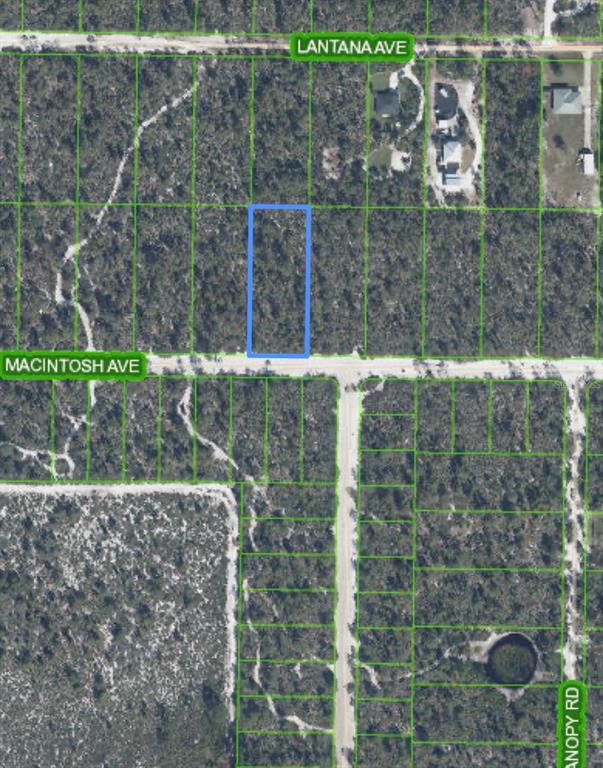 This aerial map shows a rectangular plot of land highlighted in blue near a road — 2132 MACINTOSH AVENUE, SEBRING, FL