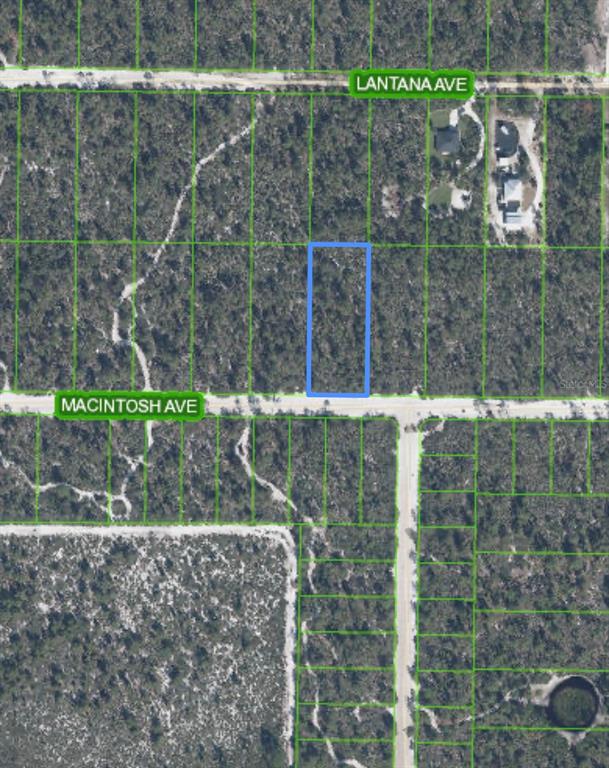 This aerial map shows a rectangular vacant lot outlined in blue along a dirt road — 2132 MACINTOSH AVENUE, SEBRING, FL