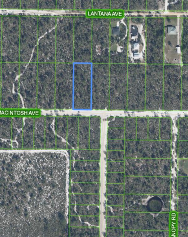 This is an aerial map showing a rectangular parcel of land highlighted in blue — 2132 MACINTOSH AVENUE, SEBRING, FL