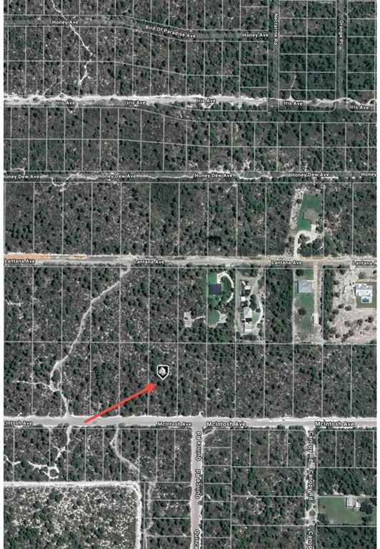 This aerial map shows a vacant, wooded residential lot marked with an arrow — 2132 MACINTOSH AVENUE, SEBRING, FL