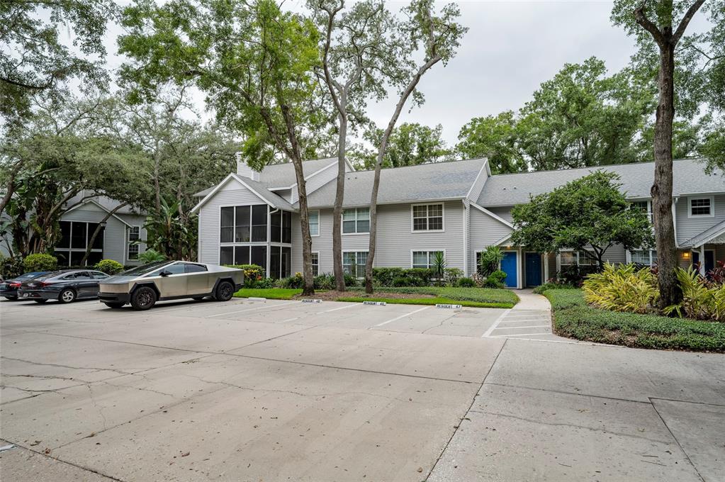 A concrete walkway leads to the blue front doors of a multi-story residential building — 3164 VALLEY OAKS DRIVE UNIT 3164, TAMPA, FL