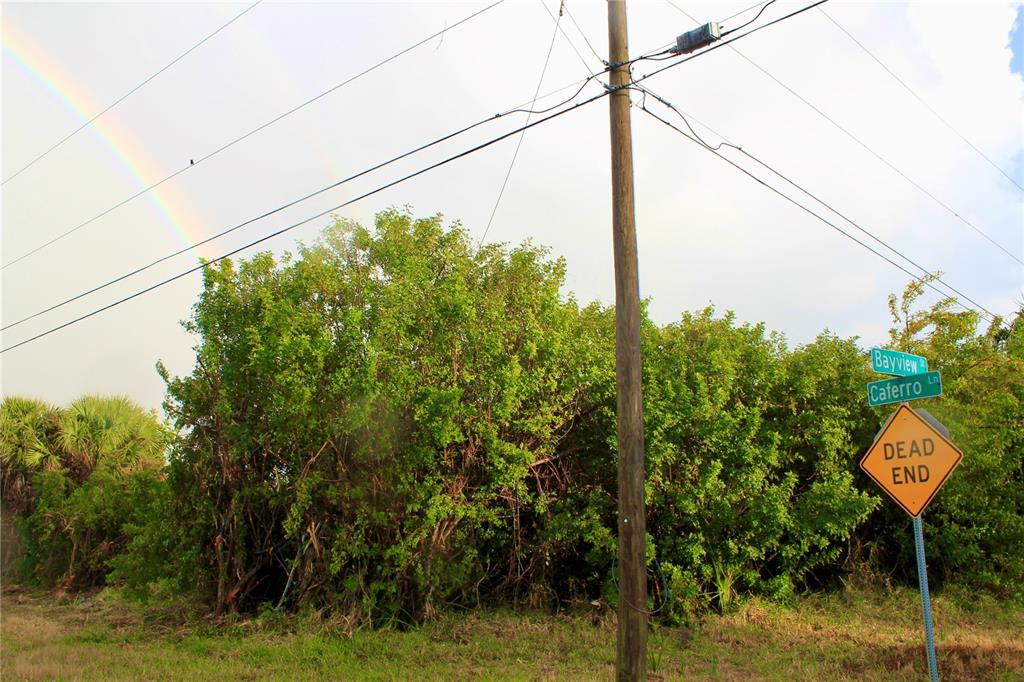 A utility pole stands before dense green foliage with a dead end sign and street signs — 4402,4410 BAYVIEW STREET, PORT CHARLOTTE, FL