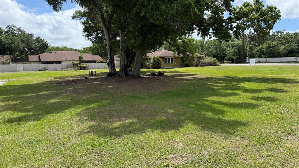 A large, grassy lot features a prominent tree in the foreground and neighboring houses behind — 4611 FRUITVILLE ROAD, SARASOTA, FL