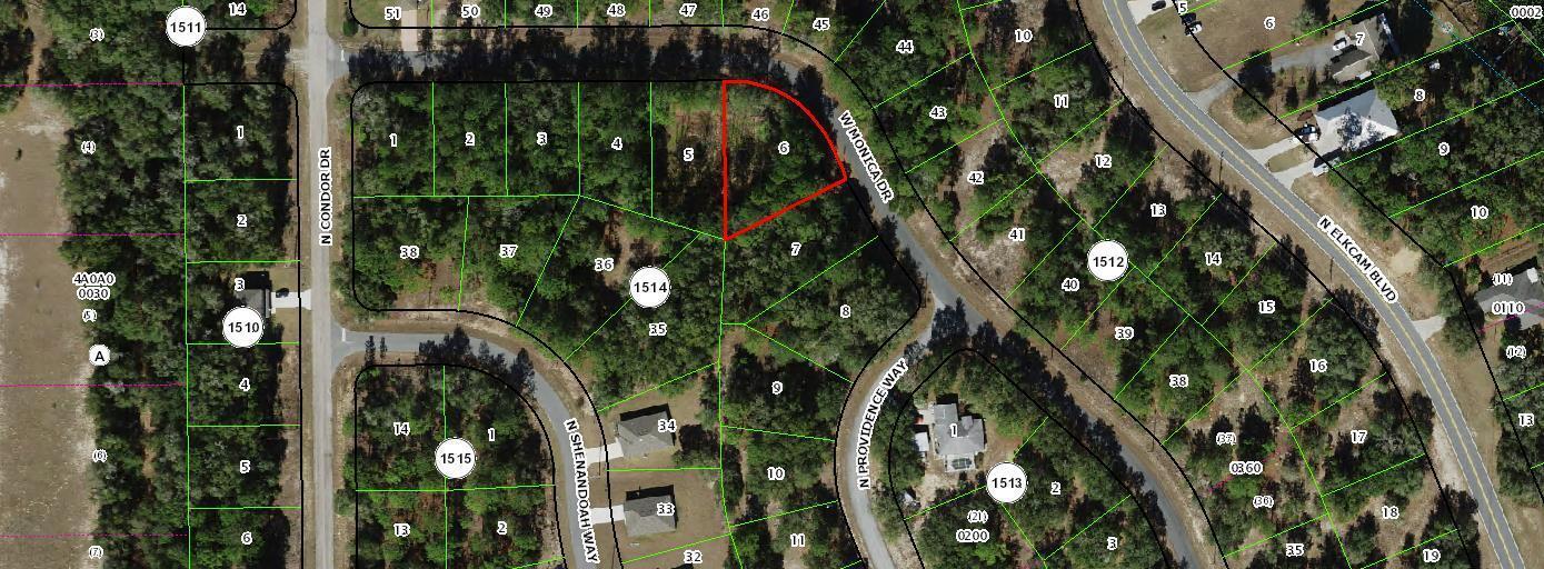 11894 N Monica Drive, FL 34433