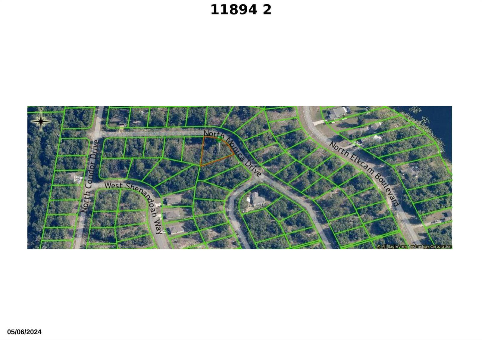 This is an aerial map showing property lot lines overlaid on a wooded residential area — 11894 N Monica Drive, FL 34433, FL