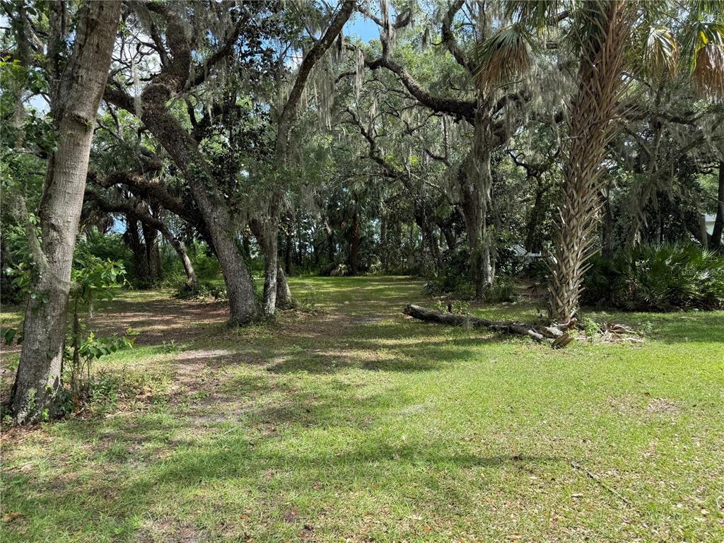 A grassy, wooded lot features large oak trees draped in Spanish moss and a palm tree — 5191 E PARSONS POINT ROAD, HERNANDO, FL