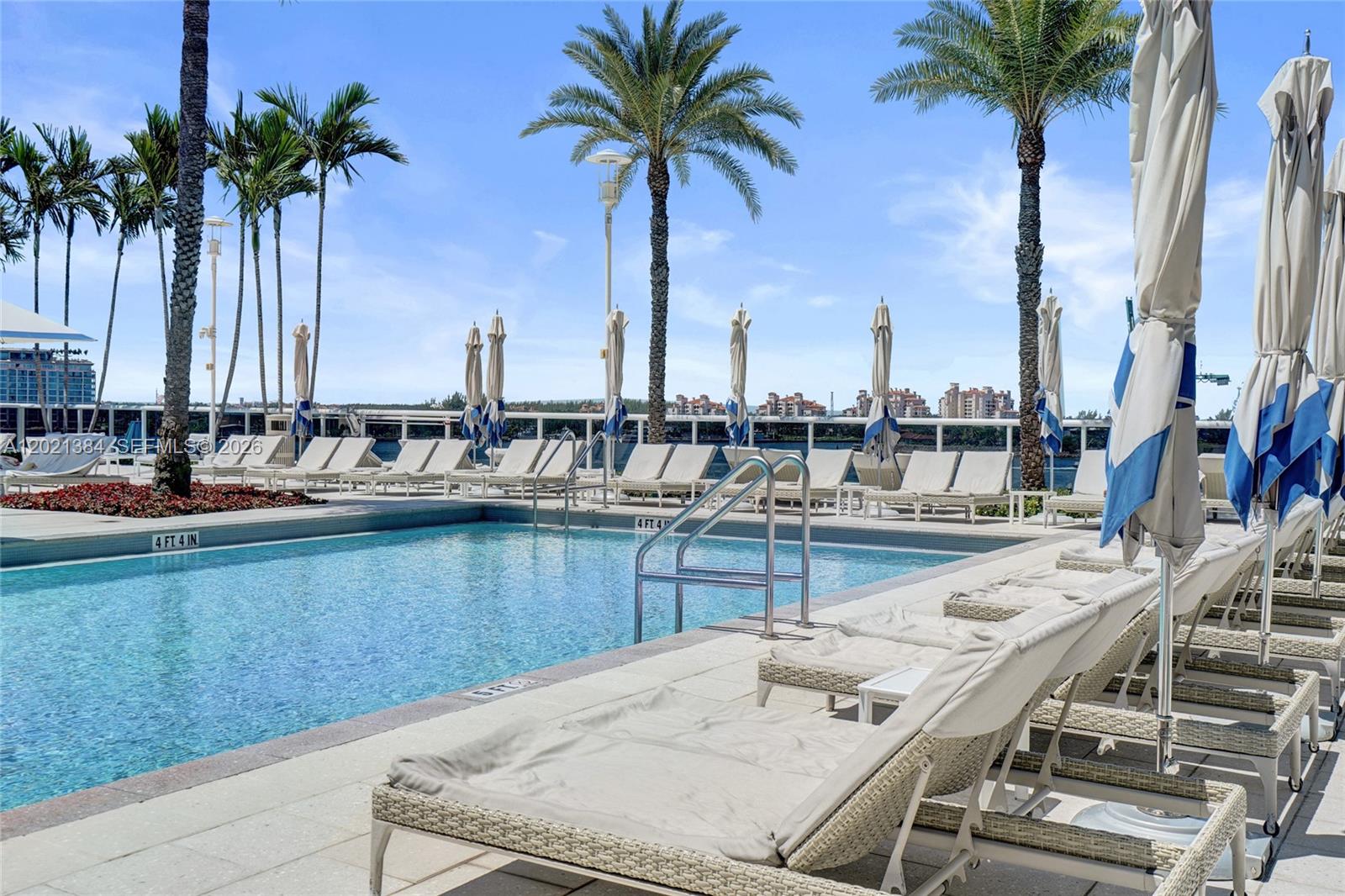 A swimming pool with lounge chairs and umbrellas sits on a patio with palm trees — 400 Alton Rd, Miami Beach FL 33139, MIAMI BEACH, FL