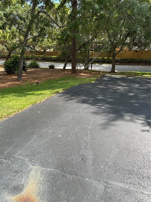 A paved parking area sits adjacent to a grassy lawn and mature trees — 1505 LENNOX ROAD E UNIT 1505, PALM HARBOR, FL