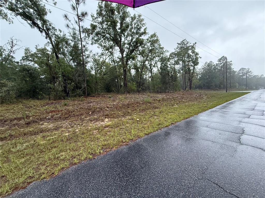 A view of a vacant, partially cleared lot next to a paved road — 1900 W MAGENTA DRIVE, DUNNELLON, FL