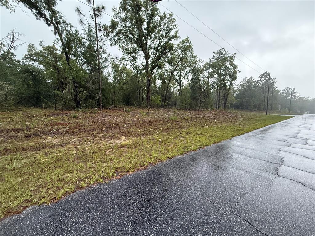 A paved road runs alongside a cleared, wooded lot under an overcast sky — 1900 W MAGENTA DRIVE, DUNNELLON, FL