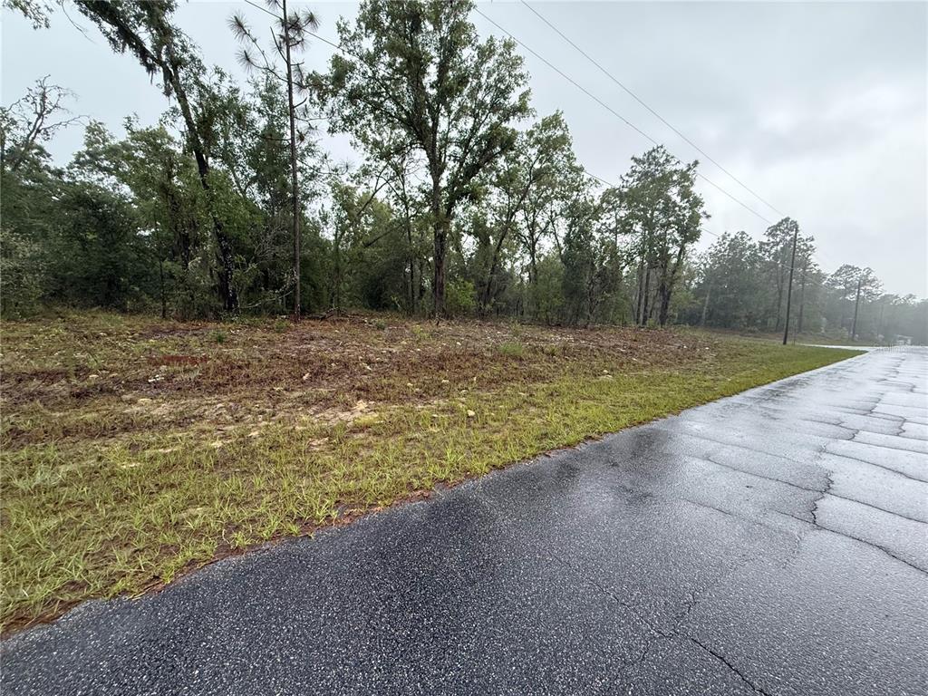 A paved road runs alongside a vacant, partially cleared lot with trees in the background — 1900 W MAGENTA DRIVE, DUNNELLON, FL