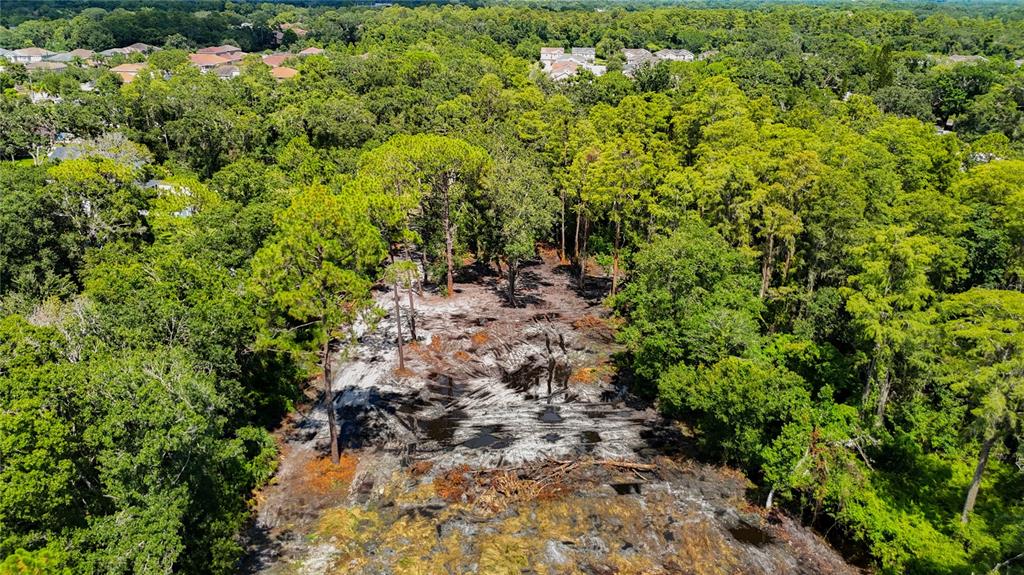 An aerial view shows a cleared, sandy lot surrounded by dense trees and nearby houses — ANNO STREET, TAMPA, FL