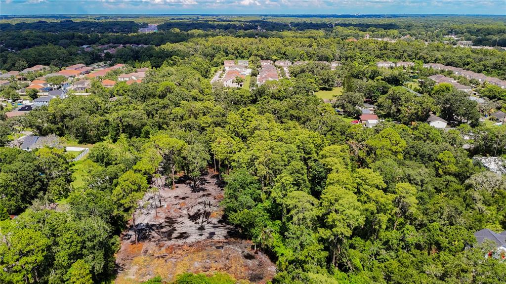 An aerial view shows a cleared, sandy lot surrounded by dense trees and residential neighborhoods — ANNO STREET, TAMPA, FL