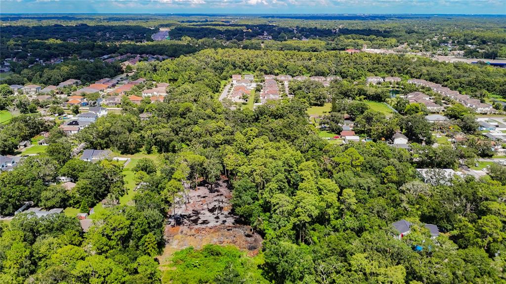 An aerial view shows a wooded residential area with a cleared lot in the foreground — ANNO STREET, TAMPA, FL