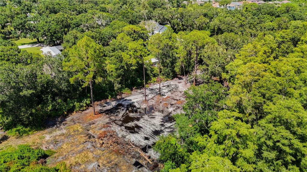 An aerial view shows a cleared, muddy lot surrounded by dense trees and residential homes — ANNO STREET, TAMPA, FL