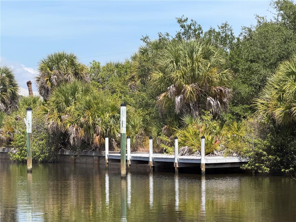 A wooden dock extends into a calm waterway surrounded by lush palm trees and vegetation — 17163 EDGEWATER DRIVE, PORT CHARLOTTE, FL