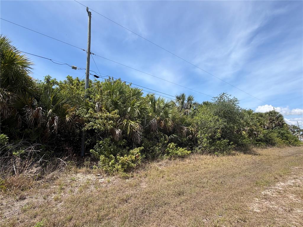 A utility pole stands beside a dense thicket of palm trees and brush on a lot — 17163 EDGEWATER DRIVE, PORT CHARLOTTE, FL