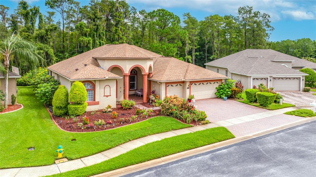 A single-story house with a tan stucco exterior, arched entryway, and a brick paver driveway — 11421 STRATHAVEN COURT, TRINITY, FL