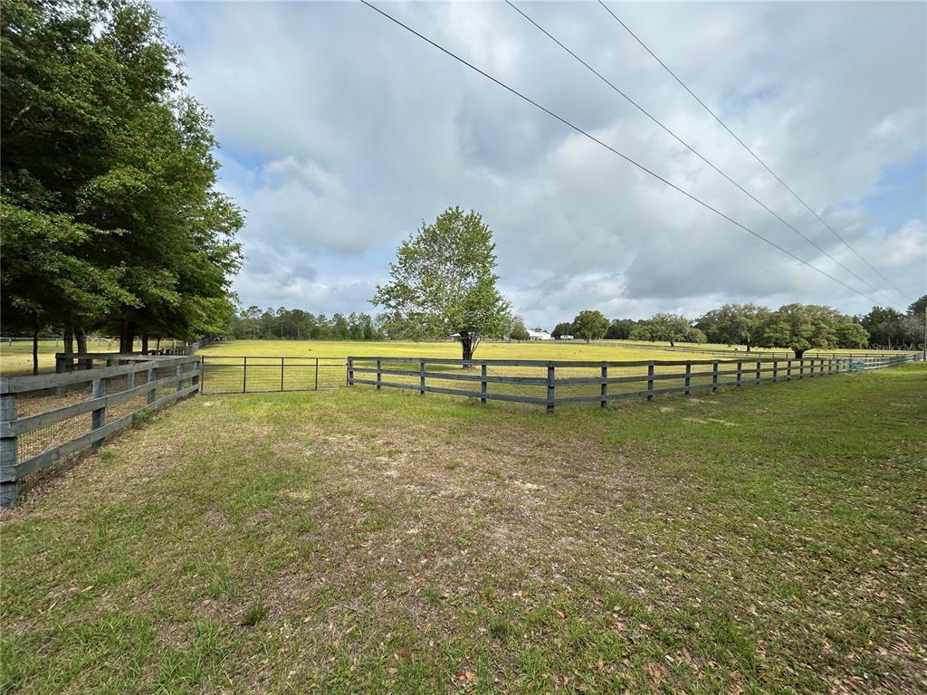 A fenced pasture with a large tree under a cloudy sky — 4580 NE 138TH TERRACE, WILLISTON, FL