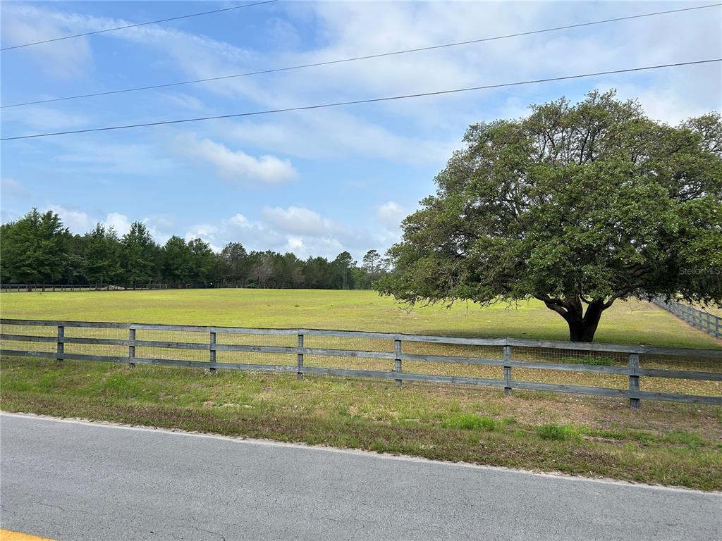 A large, grassy field is enclosed by a wooden fence next to a paved road — 4580 NE 138TH TERRACE, WILLISTON, FL