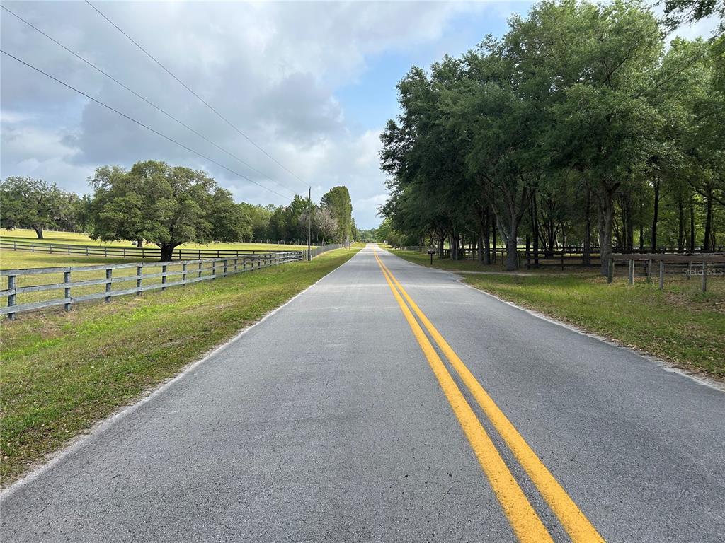 A paved road with double yellow lines runs between a fenced pasture and wooded area — 4580 NE 138TH TERRACE, WILLISTON, FL