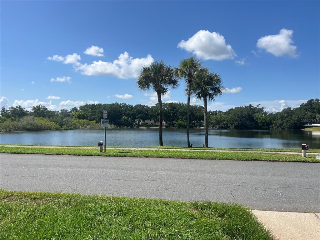 A view of a lake with three palm trees and a road in the foreground — 3101 VILLAGE LANE, MOUNT DORA, FL