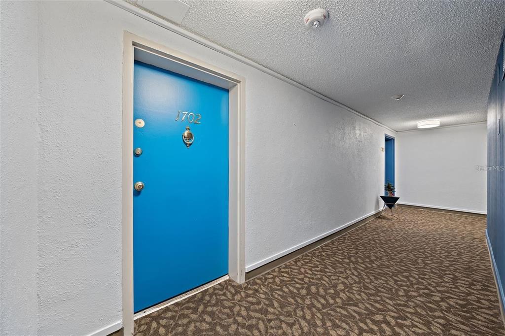 A bright blue apartment door numbered 1702 sits in a carpeted hallway with white walls — 4141 BAYSHORE BOULEVARD UNIT 1702, TAMPA, FL