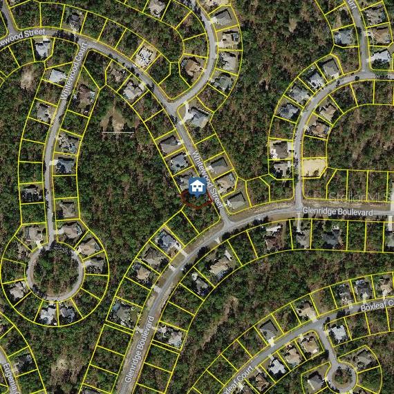 This is an aerial map view showing a residential neighborhood with houses and streets — 101 WHITEWOOD STREET, HOMOSASSA, FL