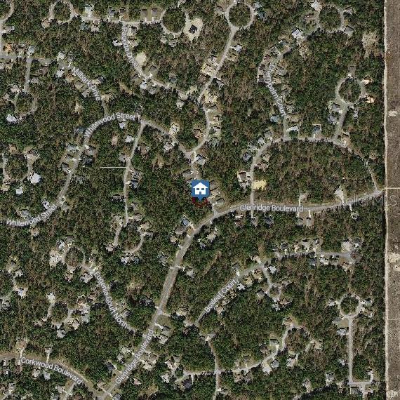 This is an aerial map view of a residential neighborhood with a highlighted property — 101 WHITEWOOD STREET, HOMOSASSA, FL