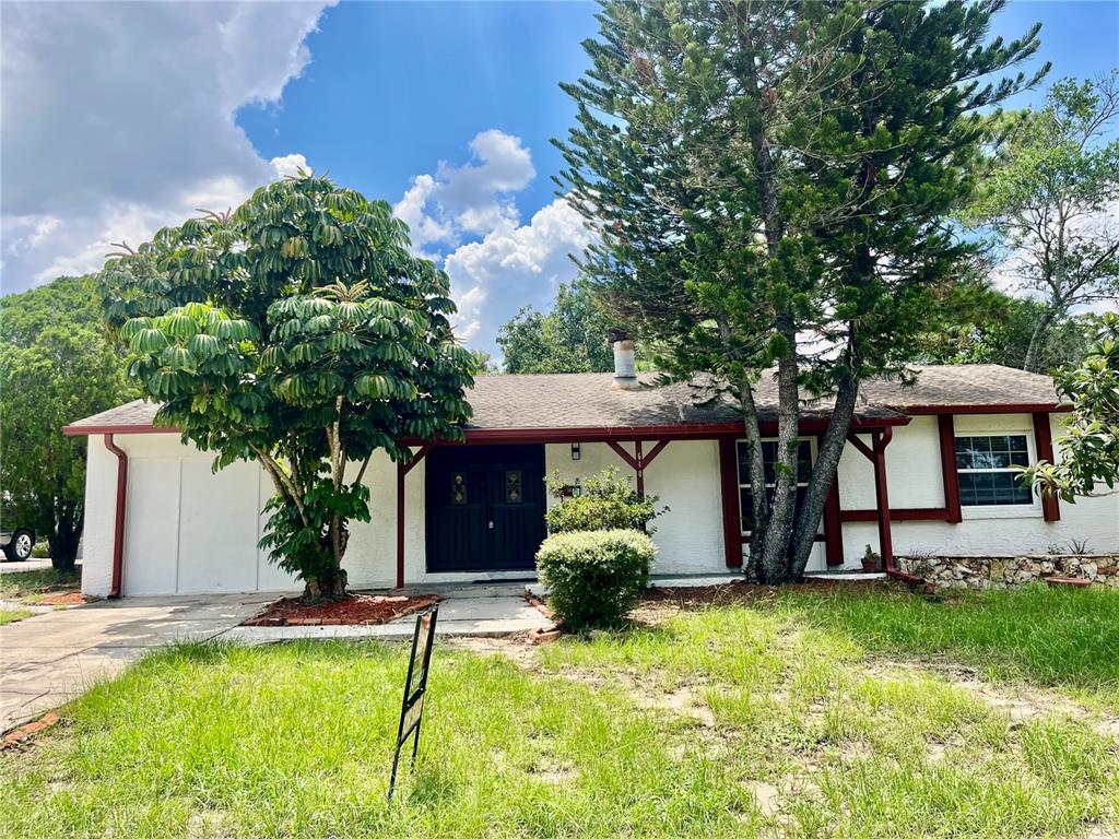 A single-story house with white stucco walls, dark trim, and a large tree in front — 640 DIANE CIRCLE, CASSELBERRY, FL