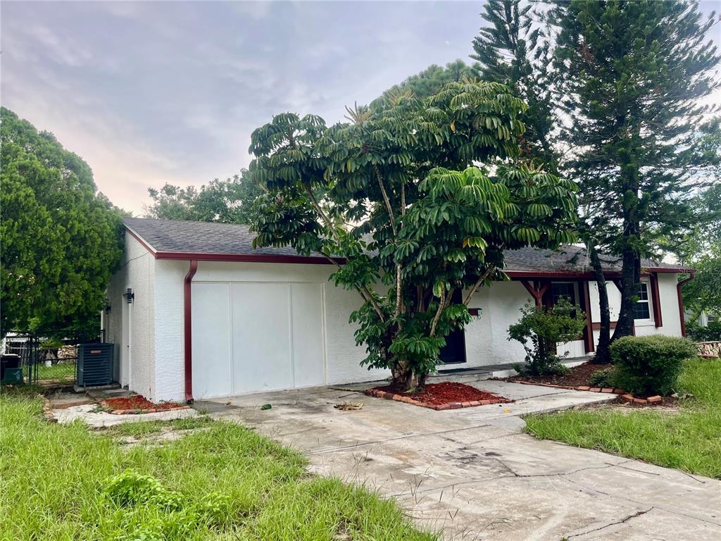 A white single-story house features a garage, a large tree, and a concrete driveway — 640 DIANE CIRCLE, CASSELBERRY, FL