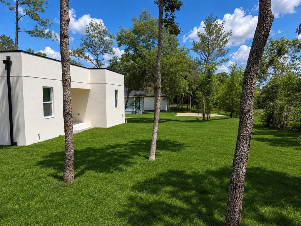 A modern white stucco house sits on a grassy lot with several pine trees — 9014 WATERBIRD WAY, BROOKSVILLE, FL
