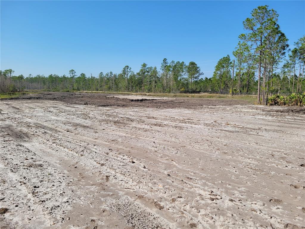 A large, cleared, sandy lot borders a dense forest under a clear blue sky — 1001 OMEGA RANCH ROAD UNIT 17, NEW SMYRNA BEACH, FL