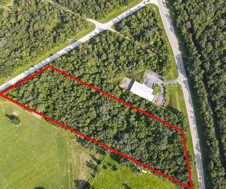 An aerial view shows a rectangular, wooded plot of land outlined in red — PONCE DE LEON BOULEVARD, BROOKSVILLE, FL