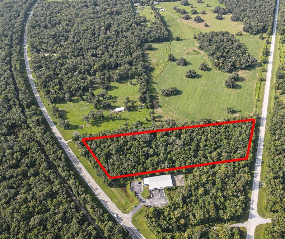An aerial view shows a rectangular wooded lot outlined in red next to a road — PONCE DE LEON BOULEVARD, BROOKSVILLE, FL