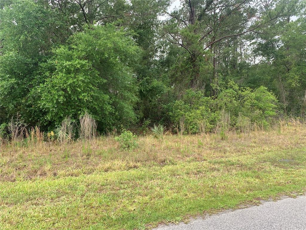 525 LIVE OAK LOOP, CRESCENT CITY, FL — photo 2 of 5