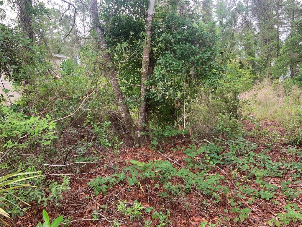 525 LIVE OAK LOOP, CRESCENT CITY, FL — photo 3 of 5