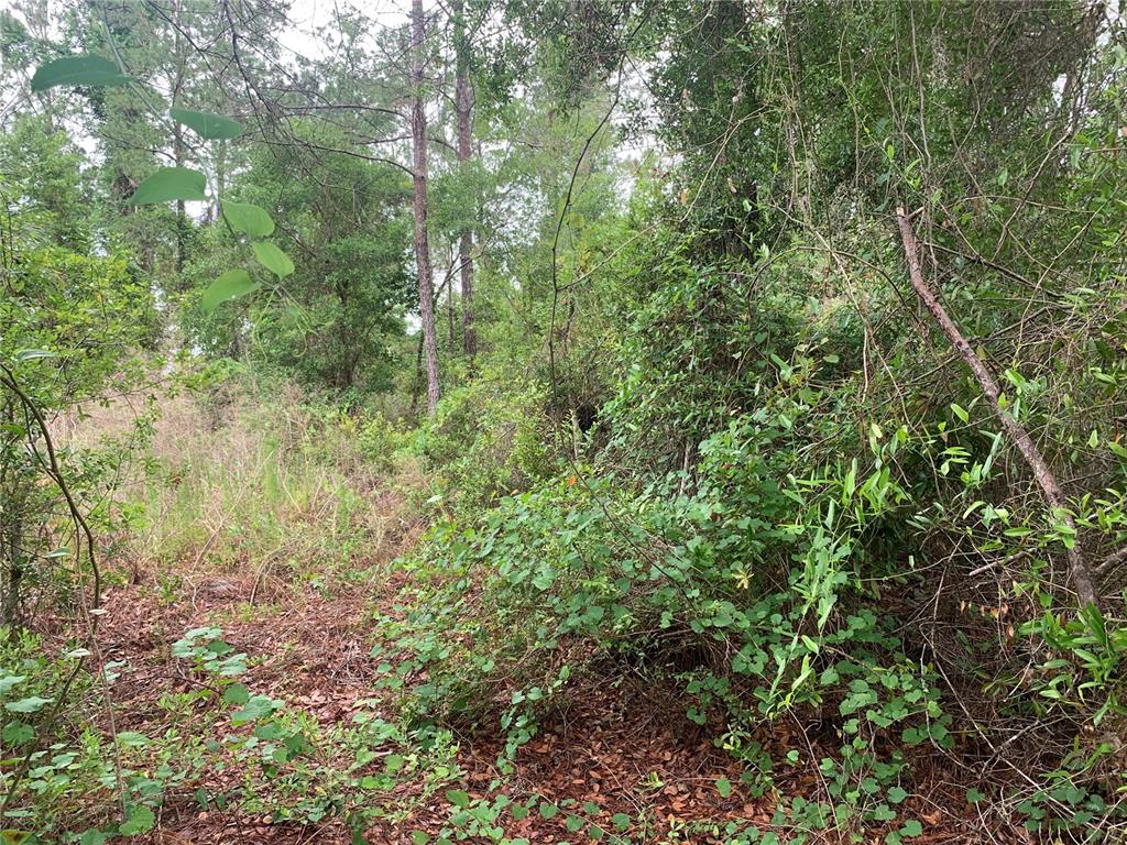 525 LIVE OAK LOOP, CRESCENT CITY, FL — photo 4 of 5