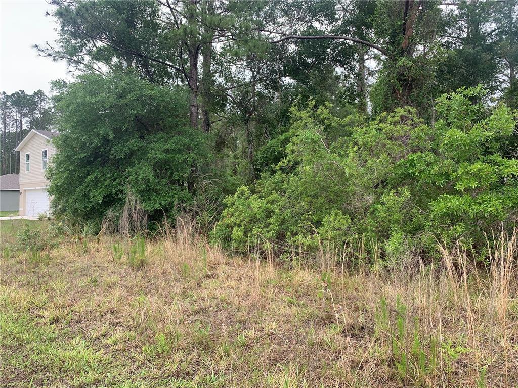 525 LIVE OAK LOOP, CRESCENT CITY, FL — photo 5 of 5