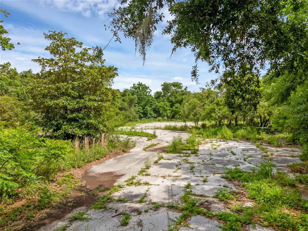 An overgrown, cracked concrete path winds through a wooded area with dense green trees — 1250 N MAITLAND AVENUE, MAITLAND, FL