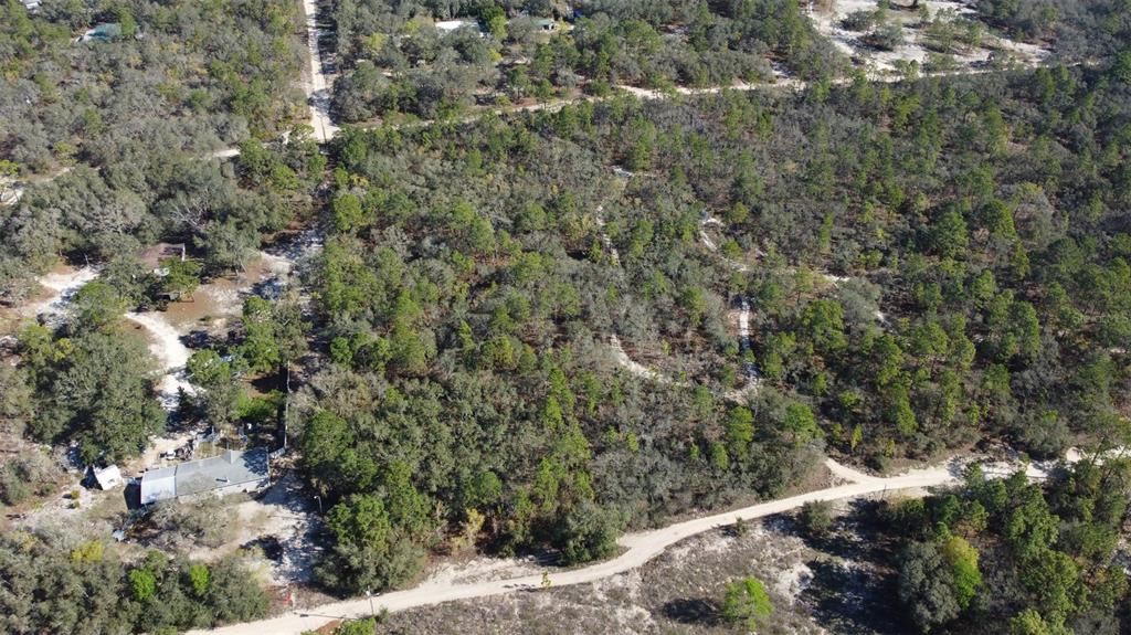 An aerial view shows a wooded, undeveloped lot with dirt roads and nearby residential structures — 4845 W HERMAN COURT, HOMOSASSA, FL