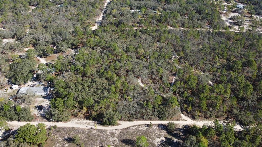 An aerial view shows a wooded, undeveloped lot bordered by a dirt road — 4845 W HERMAN COURT, HOMOSASSA, FL