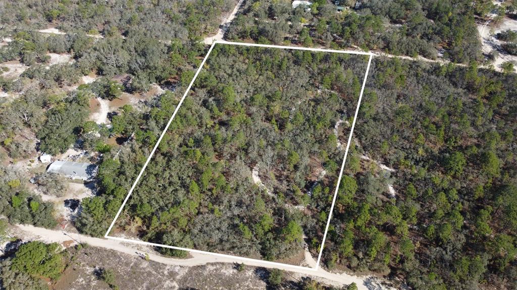 An aerial view shows a rectangular, wooded plot of land outlined in white — 4845 W HERMAN COURT, HOMOSASSA, FL