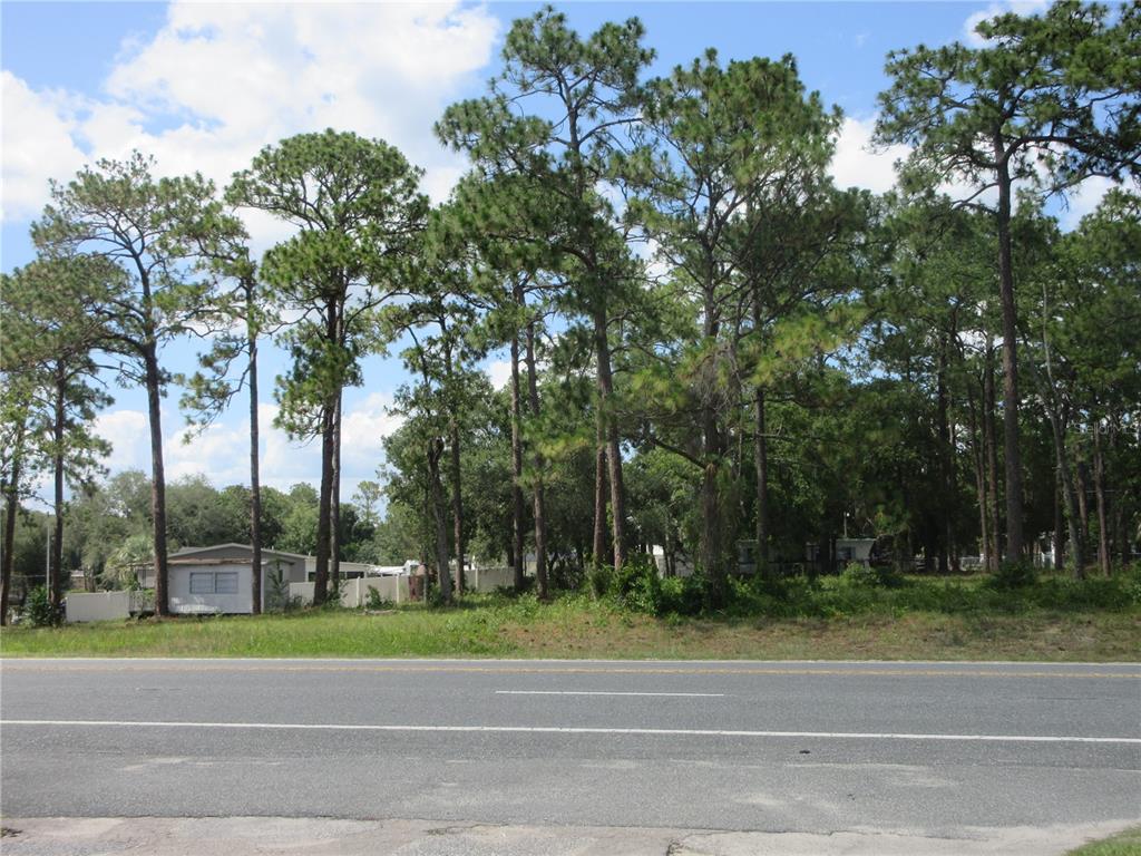 A paved road runs in front of a wooded lot with a small house visible — 787 SE 162ND TERRACE, SILVER SPRINGS, FL
