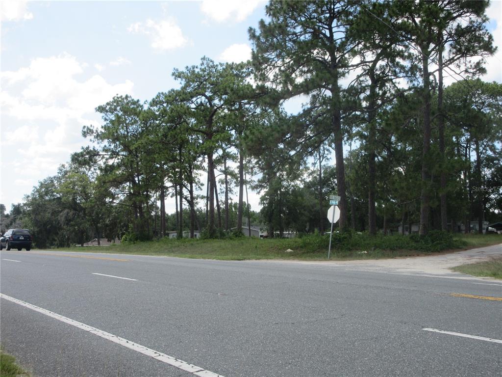 A paved road runs in front of a grassy lot with many tall pine trees — 787 SE 162ND TERRACE, SILVER SPRINGS, FL